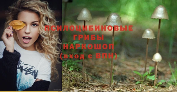 бутират Козловка