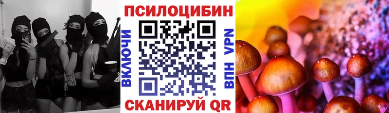 Псилоцибиновые грибы MAGIC MUSHROOMS  Купить закладки  Салехард 